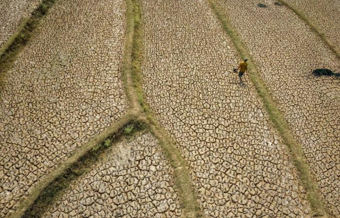 El Nino Watch: How the weather phenomenon is impacting the world this week