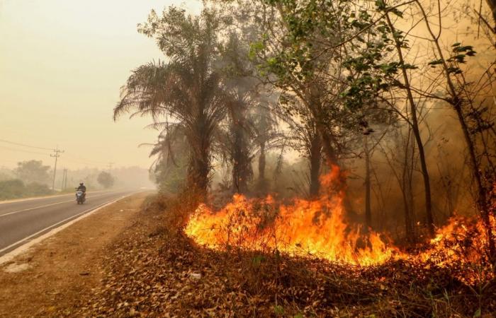 ‘We want to breathe fresh air’: Indonesians on fire-ravaged island sue Prabowo, officials over haze