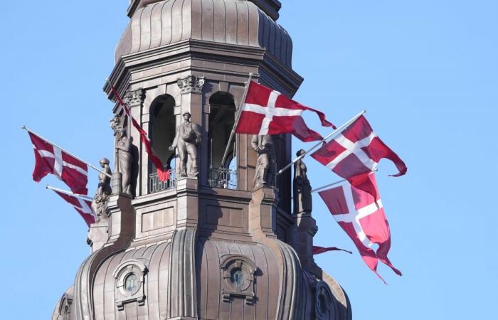 Aspiring Danes in long and agonising slog to citizenship: ‘We wait, we wait, we wait’