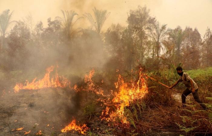 Four killed in Indonesia battling fires causing toxic haze