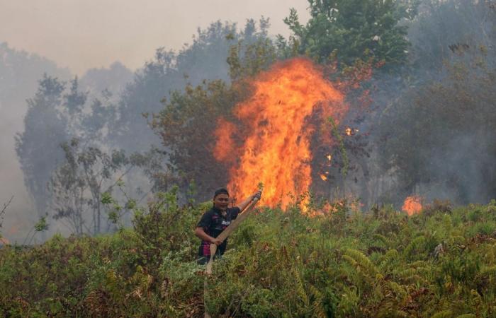 Indonesia drops 2.4 tonnes of dry ice over South Sumatra in bid to disperse haze