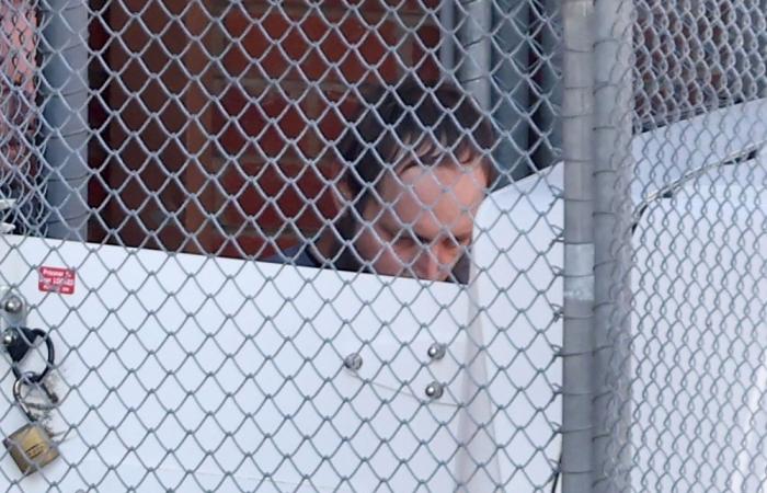 Man accused of targeting Australian MP Helen Haines appears in court