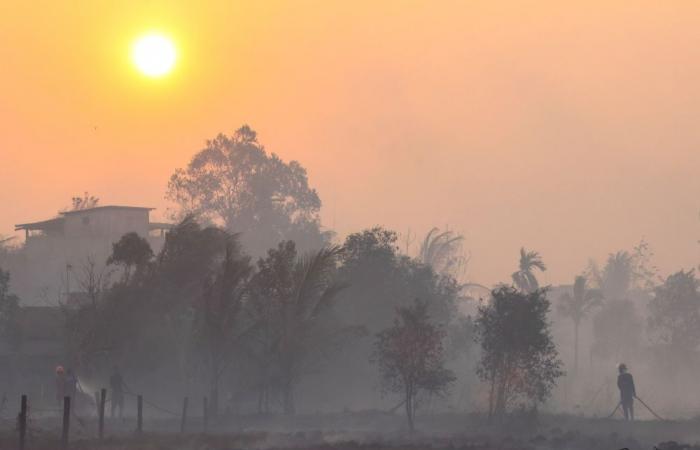 Indonesia forest fire liability: Can multinational companies be held responsible for the haze?