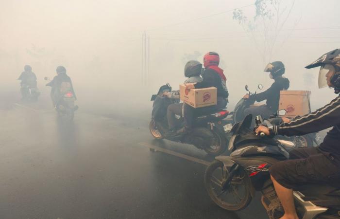Indonesia forest fire liability: Can multinational companies be held responsible for the haze?