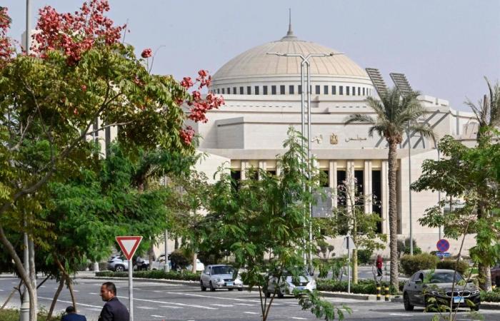 Egypt parliament authorises military support to Saudi Arabia amid Houthi attacks