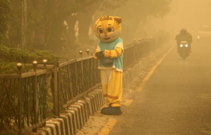 ‘What we’re breathing is poison’: Indonesia rolls out oxygen buses as wildfire haze reaches toxic levels