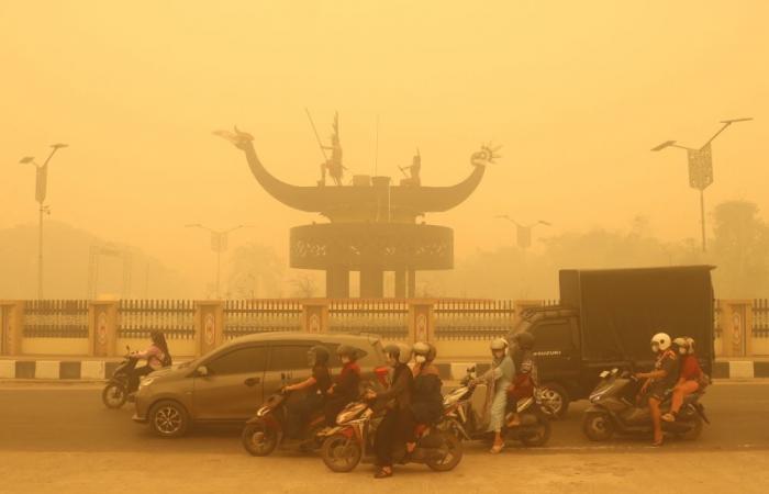 ‘What we’re breathing is poison’: Indonesia rolls out oxygen buses as wildfire haze reaches toxic levels