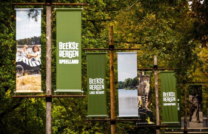 Dutch zookeeper dies days after leopard mauling
