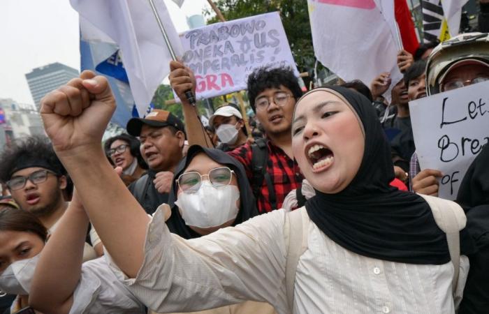 ‘We all hate you for free’: Indonesians protest against graft, wildfires