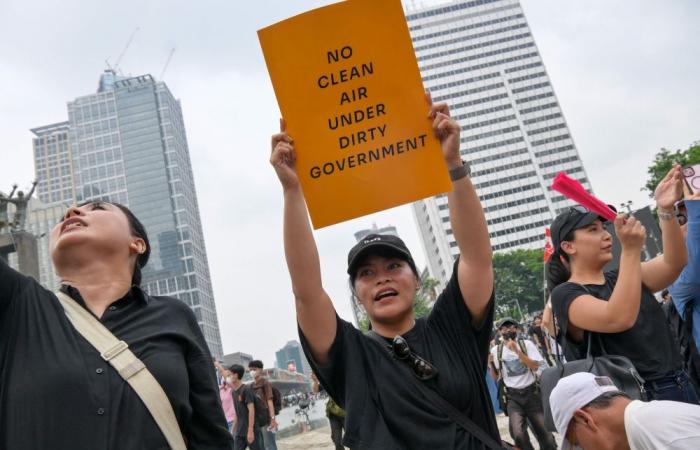 ‘We all hate you for free’: Indonesians protest against graft, wildfires