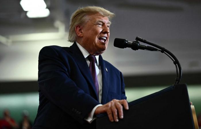 Trump demands Alaska candidates be removed from ballot over alleged Democratic ‘voter fraud’ scheme