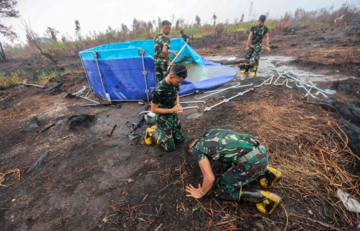 Firefighters kiss the ground as rain falls on Indonesia’s haze-hit city Palangkaraya, but dry spell may return