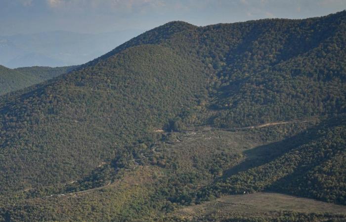 Armenia and Azerbaijan talk peace, but in a border forest, the wounds of war are still raw