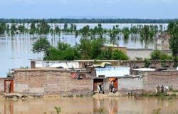 More than 100 killed across Pakistan and Afghanistan as heavy rains sweep the region