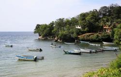 How many US strikes on boats near Venezuela have there been?