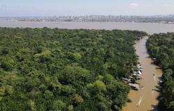 What is climate finance — and why the fight over trillions is stalling global climate action