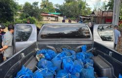 Thai rangers arrest men with 81 macaques, meth near Cambodian border