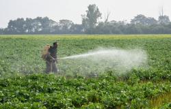 Turkiye media: Insecticide believed behind deaths of tourist family in Istanbul