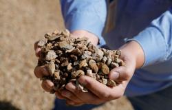 China’s grip on rare earths explained: The leverage behind a global trade war