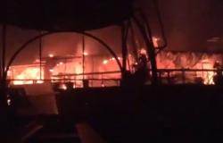 Four Nepalis among 25 dead in deadly Goa nightclub blaze, authorities arrest four over incident