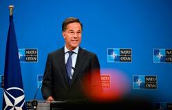Nato chief, Japan defence minister express ‘grave concerns’ over China-Russia patrols