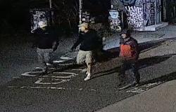 Over 600 empire-era artefacts stolen from UK museum in ‘significant loss’ to British history