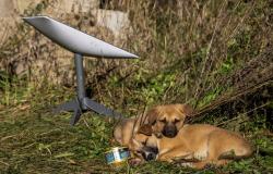 Iran deploys jammers, spoofed GPS in escalating test of Musk’s Starlink