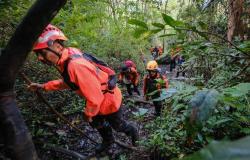 Rescuers recover one body from Indonesian fisheries plane crash, nine still missing