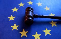 EU doubles down on diversity policies under Trump assault