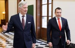 Belgian cops hunt the crooks who would be king, with AI scams