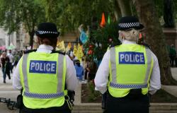 ‘British FBI’ on the cards as UK police undergo largest reforms in 200 years