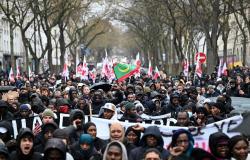 Thousands protest in Paris after death of Mauritanian man in police custody