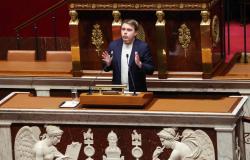 French lawmakers pass bill banning social media for under-15s