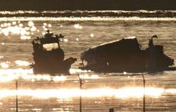 US safety board: Fatal Washington crash due to FAA failures, including letting helicopters fly too close to planes