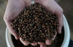 Vietnam’s coffee pride shaken as police investigate fake blends made from soybeans