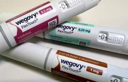 Dr Reddy’s says Wegovy copycat to be priced competitively, with 50-60pc discounts feasible