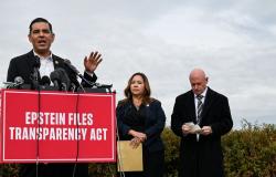 Democrats accuse US govt of ‘largest cover‑up in modern history’ over Trump sex abuse claims