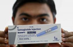 India set to roll out cheap weight-loss jabs as demand rises amid obesity surge