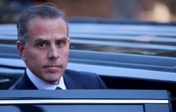 Biden vs Trump — but make it MMA: Hunter challenges Donald Jr, Eric to cage fight