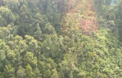 All eight on board killed in Borneo helicopter crash, including Malaysian national