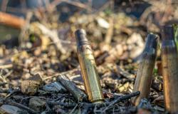 ‘Victims confirmed’: US police investigate gunshots reported on Iowa University campus