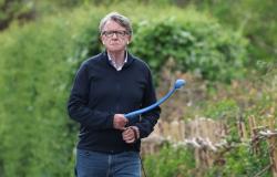 Sacked UK official says PM’s Office put ‘constant pressure’ to speed up Mandelson clearance