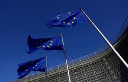 EU immigrant population rises to record high of 64.2 million in 2025, study says