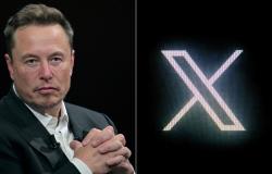 ‘They’re faker than a chocolate euro’: Musk faces fresh complaint after attacking French prosecutors probing X