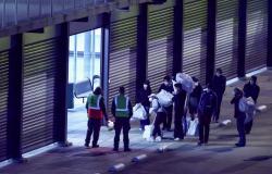 Breach of protocol: Dutch hospital quarantines 12 workers after hantavirus samples from cruise ship patient mishandled