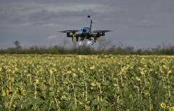 Sci-fi or battlefield reality? Ukraine explores AI‑driven drone swarms to offset Russia’s manpower edge