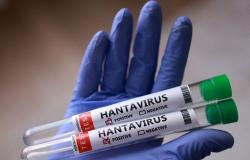 Canadian cruise passenger ‘presumptive positive’ for rare human-to-human hantavirus after MV Hondius outbreak