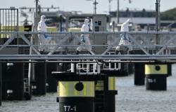 Hantavirus and Ebola outbreaks expose gaps in global pandemic preparedness, expert says