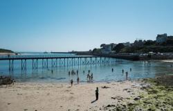 Five drown as heatwave sends French crowds rushing to beaches