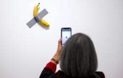 French museum reports theft of arty banana